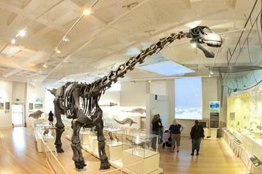 NEW WALK MUSEUM AND ART GALLERY