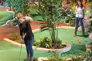 Treetop Adventure Golf