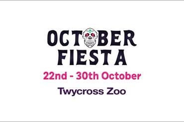 October Half Term at Twycross Zoo