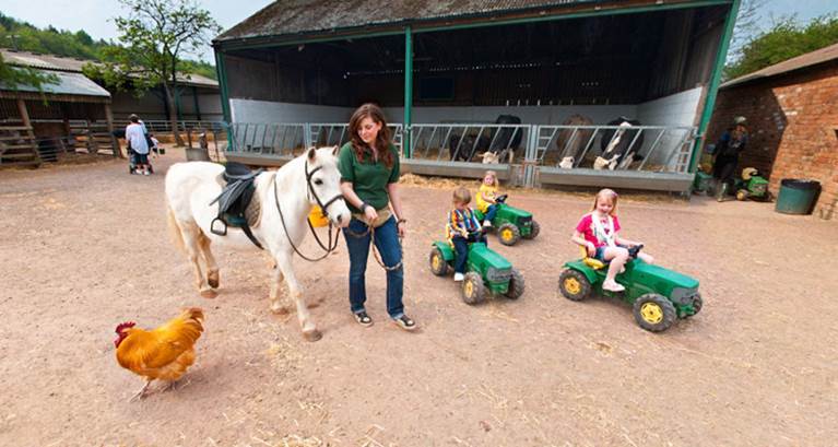 Stonehurst Family Farm And Motor Museum Leicester Attraction