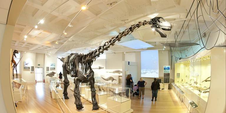 NEW WALK MUSEUM AND ART GALLERY