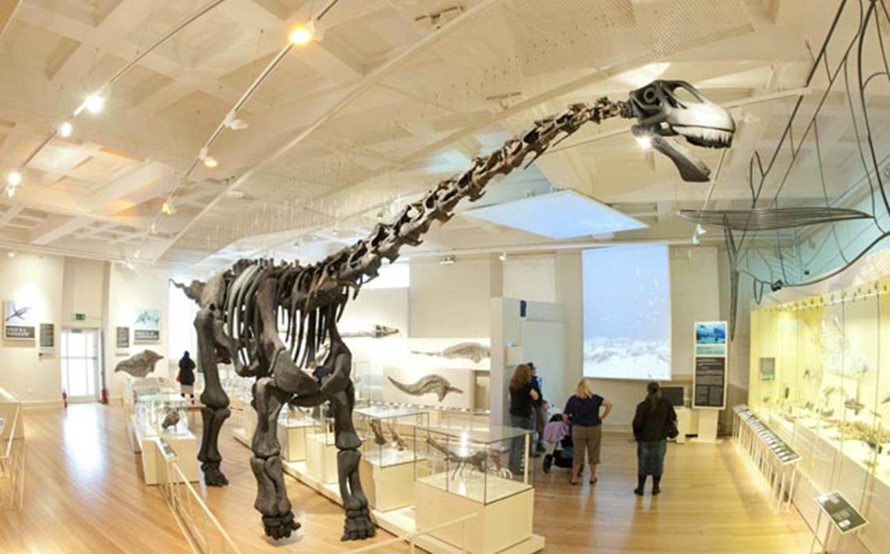NEW WALK MUSEUM