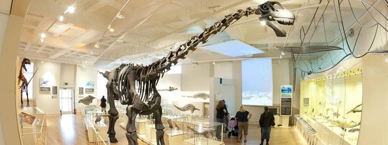New Walk Museum 