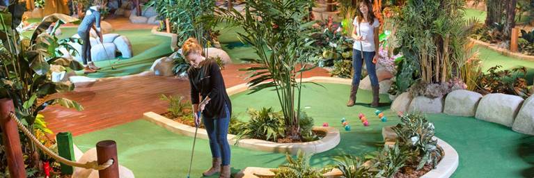 Treetop Adventure Golf 