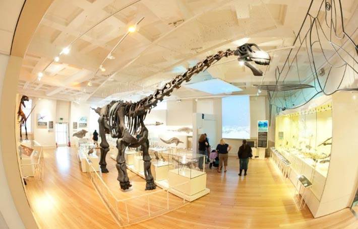 We Are Open! Save 40% - Book Now, Pay Later